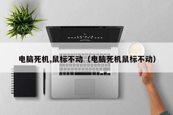 电脑死机,鼠标不动（电脑死机鼠标不动）
